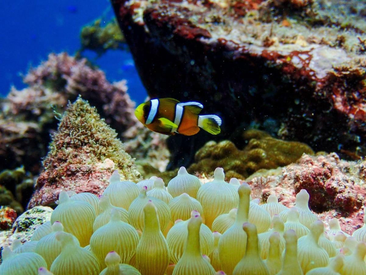 Iroukan Minamiizu Bagian luar foto